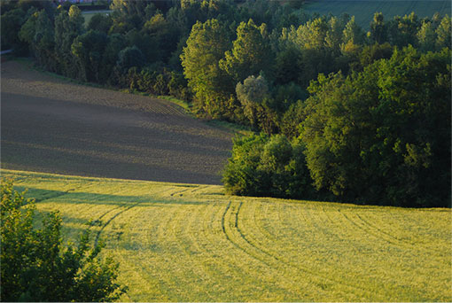 la campagne