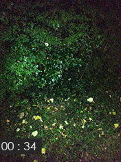 Cam_01