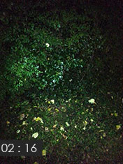 Cam_02